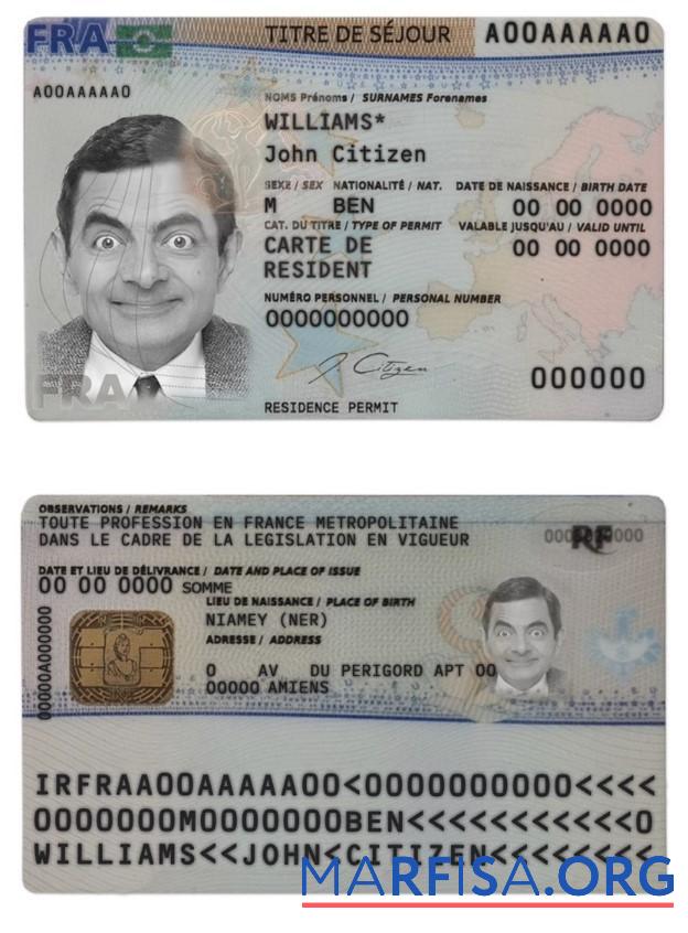 Blank France new residence card 2019 present template